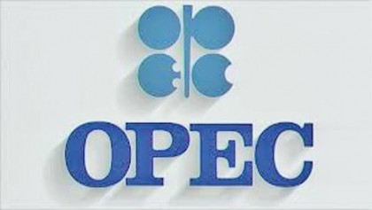 OPEC members support Paris Agreement: Secy gen
