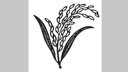 Oikyafront to go with sheaf of paddy
