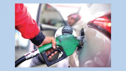 Oil price rebounds after sharp declines