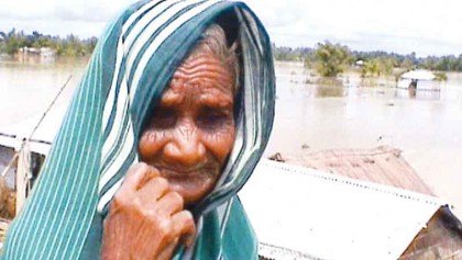 Old age and diseases