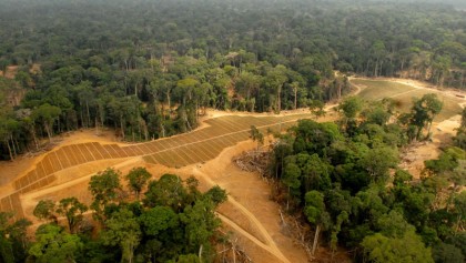 After Asia, palm oil faces backlash in Africa