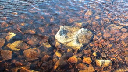 The peat coal potential 