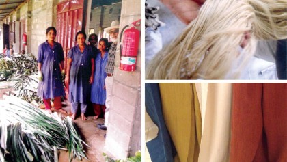 Pina fibre: wonder yarn