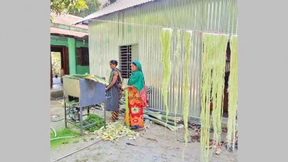 Pineapple leaf fibre a 
new source of income
