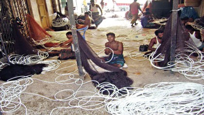 Preparations afoot to net hilsa fish as ban goes tonight 