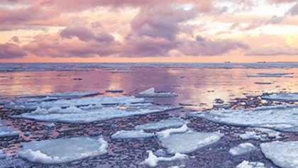 Private sector in climate change management 