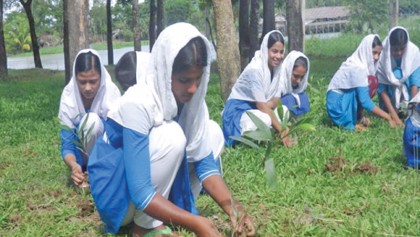 Promoting tree plantation 