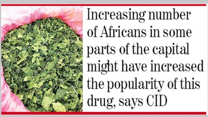 Prevent ‘khat’ from entering Bangladesh