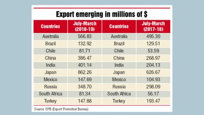 RMG exports to non-traditional markets growing fast 