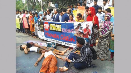 Protest against Rohingya killing continues at RU