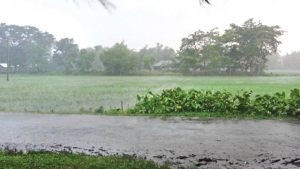 Why Does Rain Smell Good?