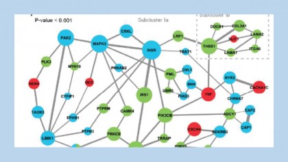 Researchers uncover molecular mechanisms linked to autism and schizophrenia