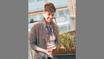 Resurrection plants offer hope as climate turns hostile