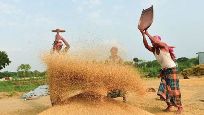 �Bangladesh ready to turn into major food exporter in UAE�