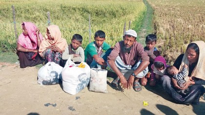 40pc Rohingya 
people flee into Bangladesh: UN
