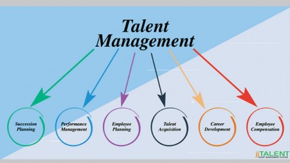 Role of talent management in 
organisational sustainability 