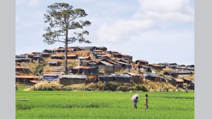 Ronhingya influx takes toll on environment