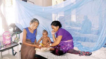 Schoolgirl dies of dengue in capital