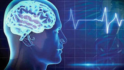 Scientists shed light on how brains turn pain up or down