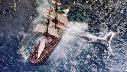 Screening of �In the Heart of the Sea� continues at Star Cineplex