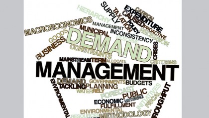 Seasonal products: Demand 
and management 