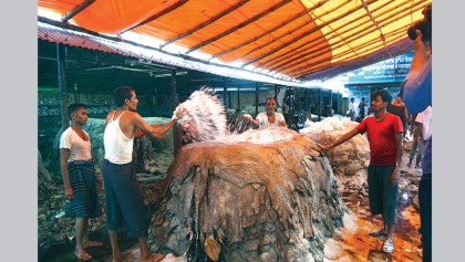 Rawhide processing 
remains a challenge