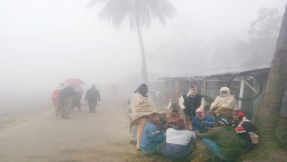 Severe cold, dense fog make life miserable in districts
