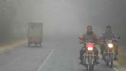 Shivering cold, dense fog make life miserable