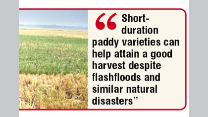 Short duration paddy remains a far cry 