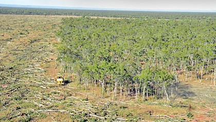 Soaring deforestation new threat to Great Barrier Reef