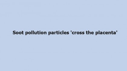Soot pollution particles 'cross the placenta'