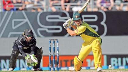 New Zealand tame Aussies 