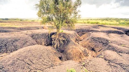 Stop soil erosion and save our future