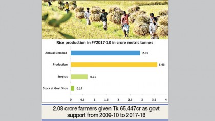 Plentiful rice on the plate