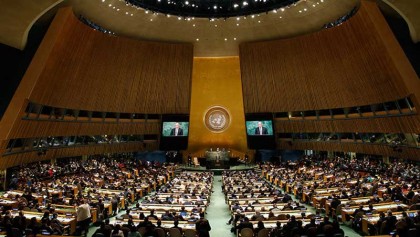 Call for independent probe 
as UNGA adopts resolution