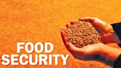 Stress on crop output to ensure food security
