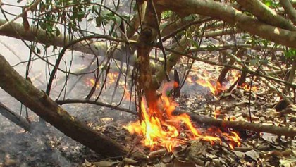 14 fire incidents at Chandpai of Sundarbans in 12 years