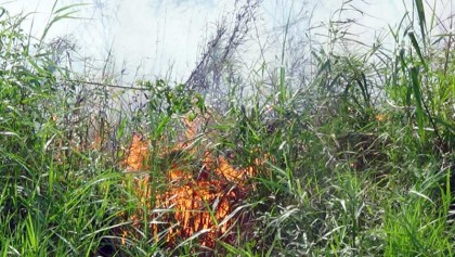 3rd fire in Sundarbans in 3 weeks
