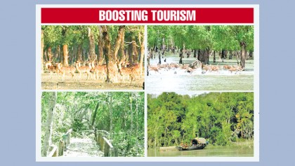 Govt to revamp facilities in Sundarbans 