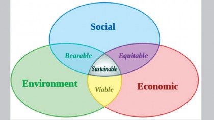 Sustainable rural development 
and local government