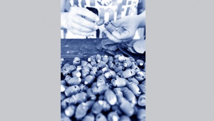 Taiwan’s battle with betel nut addiction