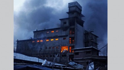 Freeze Tampaco owner’s bank accounts: HC