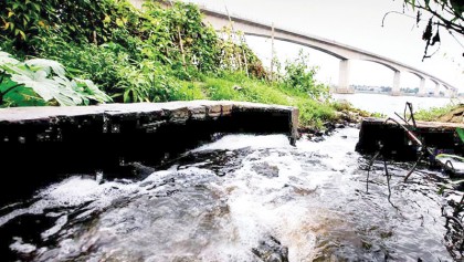 Tannery wastes polluting Dhaleshwari
