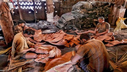 Ctg tanneries in doldrums