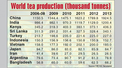 Roadmap to revive 
tea production