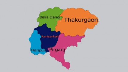 Trees being cut to widen road in Thakurgaon