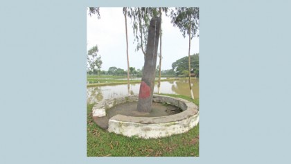 The Stick of Bhima 
A Mythological Monument