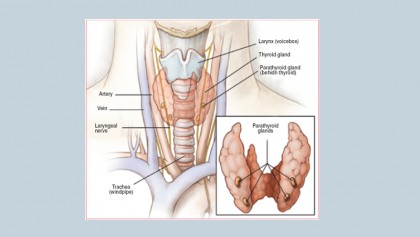 Thyroid gland disorders