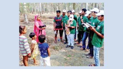 Tiger Scouts