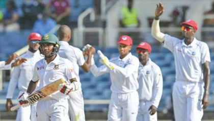 Caribbean nightmare for Tigers